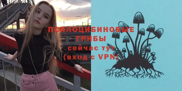 хмурый Алексеевка