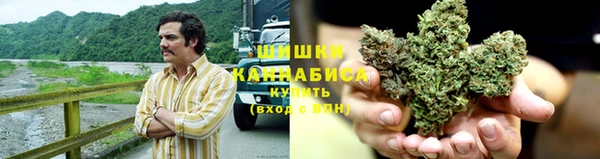 сатива Алзамай