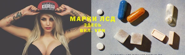 сатива Алзамай