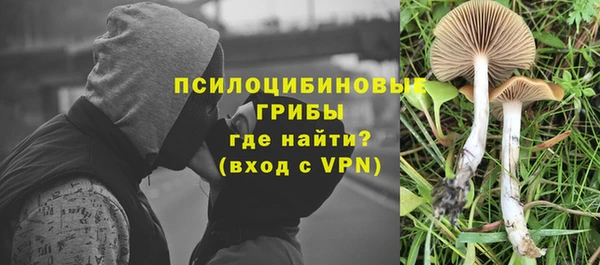 сатива Алзамай