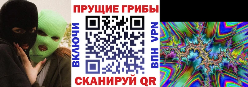 Галлюциногенные грибы MAGIC MUSHROOMS  магазин продажи наркотиков  Оханск 